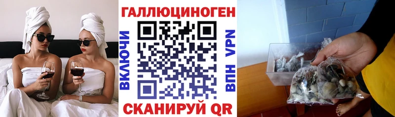 Галлюциногенные грибы MAGIC MUSHROOMS  Данилов 